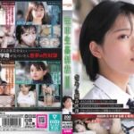 YDNS-003 Train Sex Punishment #003