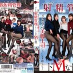 [UNCENSORED-LEAK] DMOW-224 I'm a masochist who has no choice but to have my harem ejaculation controlled by my sexy, beautiful-legged bosses in black pantyhose.
